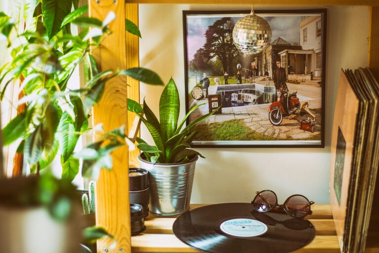How to Refresh Your Home with Plants: A Simple Guide